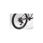 ORBEA OIZ MLTD - 2025