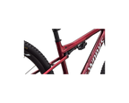 SPECIALIZED S-WORKS EPIC 9
